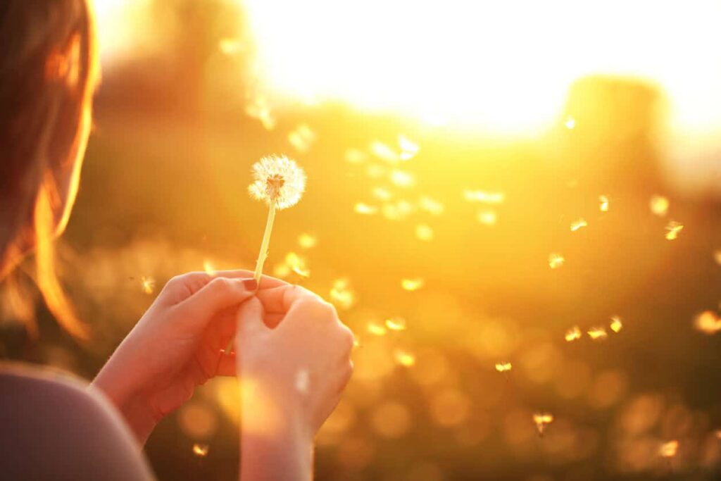 Praktijk Innergids, Tessa Krapf, Merkaba Healing, Reïncarnatie en Regressie, Traumaverwerking TR-EMI, Merkaba Healing, training Energetische Hygiëne, training Ontdek jouw kracht als coach