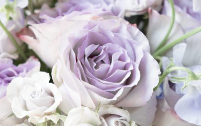 Basis energetische hygiene 2