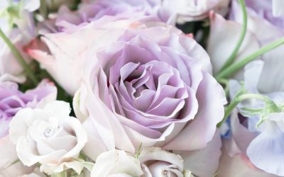 Basis energetische hygiene 2